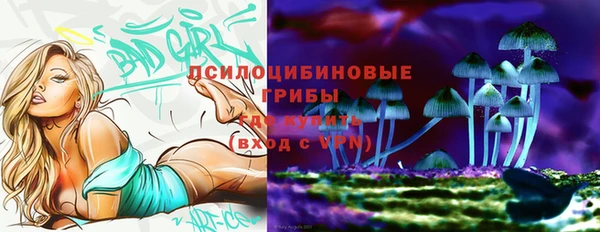 марихуана Новодвинск